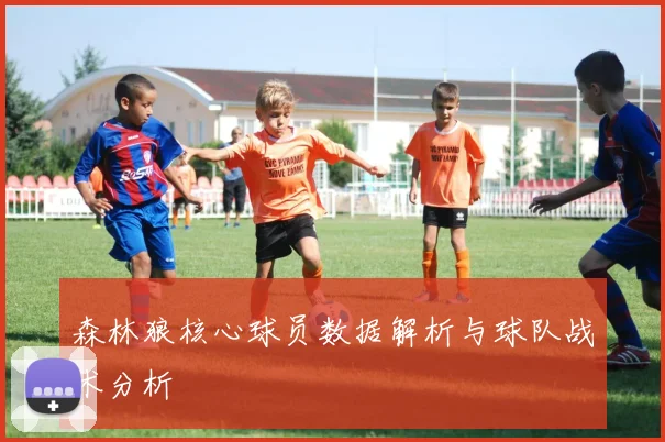 森林狼核心球员数据解析与球队战术分析
