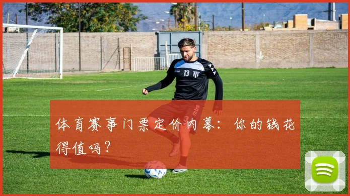 体育赛事门票定价内幕：你的钱花得值吗？