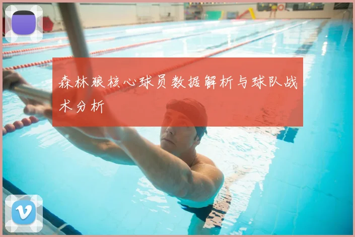 森林狼核心球员数据解析与球队战术分析